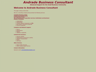 andradebiz.com snapshot