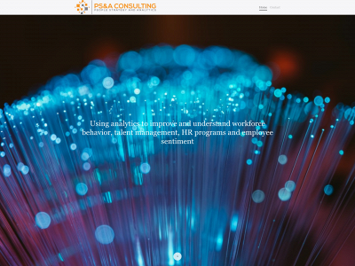 psandaconsulting.com snapshot