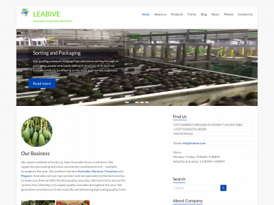 www.leabive.com snapshot