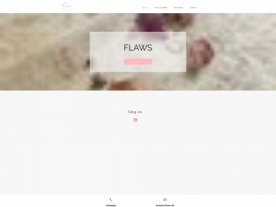 flaws.dk snapshot