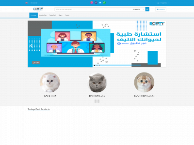 scoty.com snapshot
