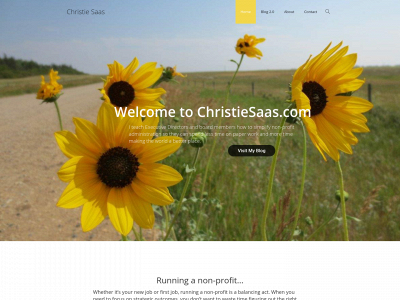 christiesaas.com snapshot