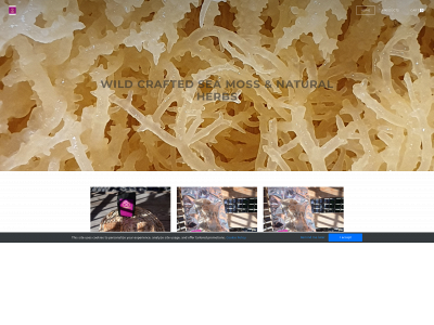 cougbcb.sites.looka.com snapshot