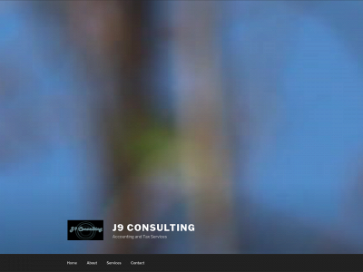 j9consulting.net snapshot
