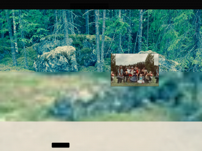 skogsnasteatern.se snapshot