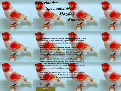 nederlandse-speciaalclub-mozaiek-kanaries.nl snapshot