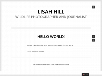 lisahhill.com snapshot