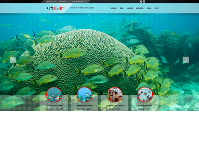 keysdiver.com snapshot