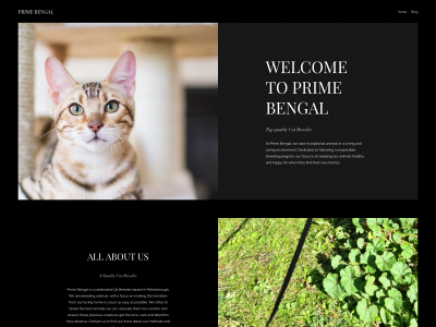 primebengal.co.uk snapshot