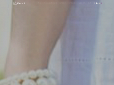 photobitt.com snapshot