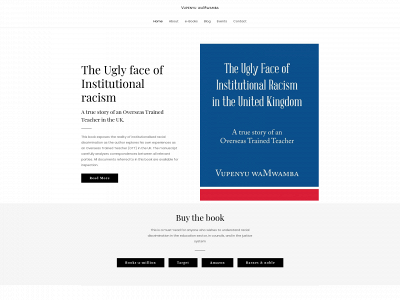 theuglyfaceofinstitutionalracism.com snapshot