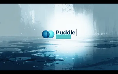 puddleperspective.nl snapshot