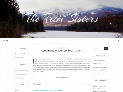 thetrimsisters.com snapshot
