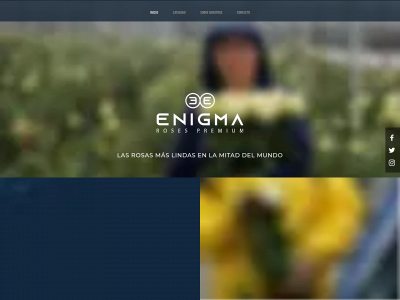 enigmaroses.com snapshot