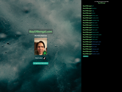bayofbengal.com snapshot