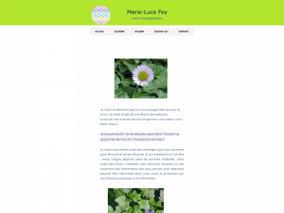 soins-energetiques.solutions snapshot