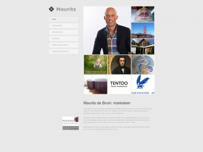 mauritsdebruin.nl snapshot