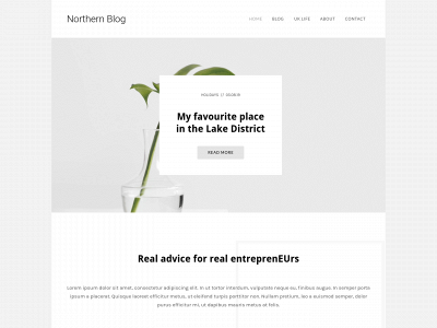 northernblog.co.uk snapshot
