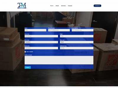 treasuremovers.com snapshot