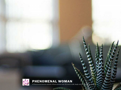 petisaanglin.com snapshot