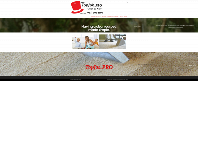 topjob.pro snapshot