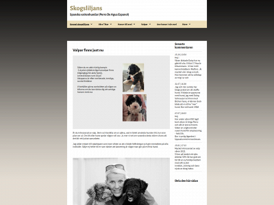 skogsliljans.se snapshot