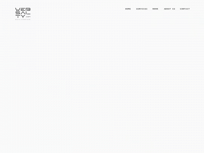 websalty.com snapshot