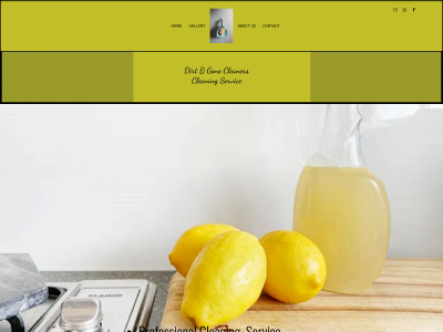 dirtbgonecleaners.co.uk snapshot