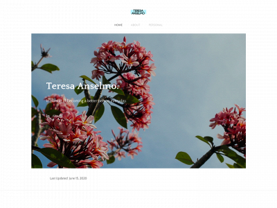www.teresaanselmo.com snapshot