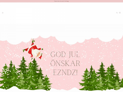 ezndz.com snapshot