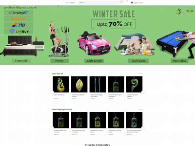 paylateralligator.com snapshot