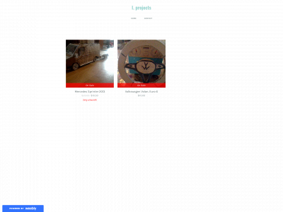 levi1project.weebly.com snapshot