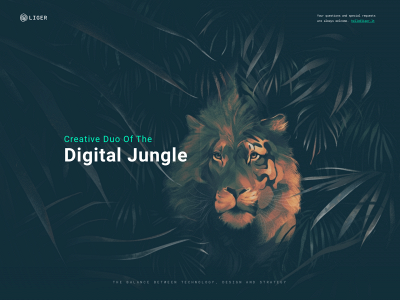 liger.lt snapshot