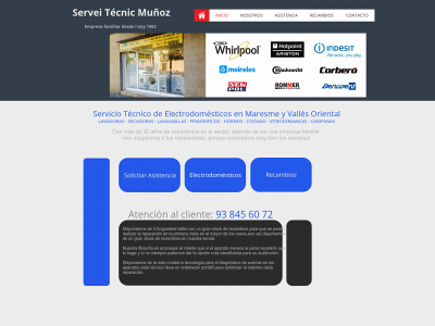serveitecnicmataro.com snapshot