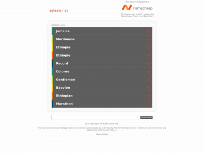 selasie.net snapshot