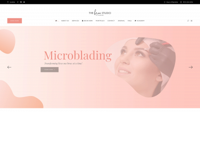 thebrowstudiobycc.com snapshot