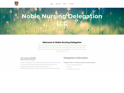noblenursingdelegation.com snapshot