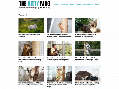thekittymagazine.com snapshot