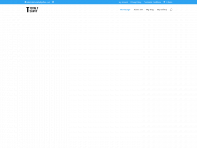 totalysavvy.com snapshot