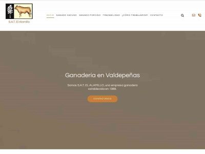 satelalamillo.com snapshot