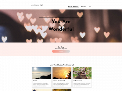youarewonderful.nl snapshot