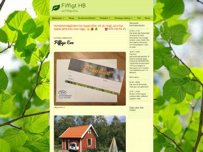 fiffigaeva.se snapshot