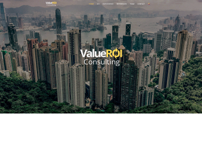 valueroiconsulting.com snapshot