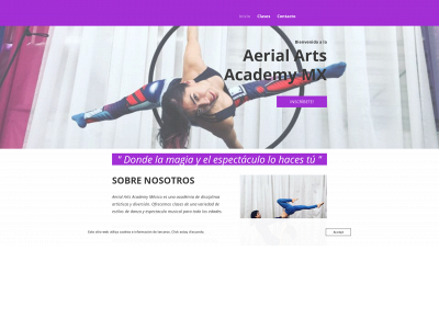 aerialartsacademymx.group snapshot
