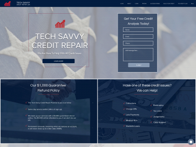 www.techsavvycreditrepairusa.com snapshot