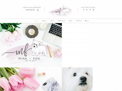 minkfox.com snapshot