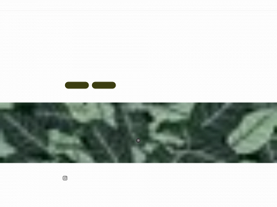 lightituf.se snapshot