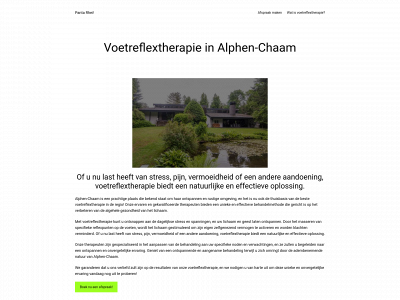 pantarhei-voetreflextherapie.nl snapshot