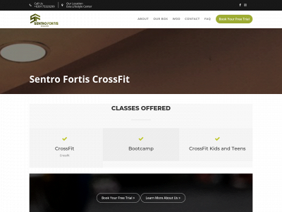 sentrofortis.com snapshot