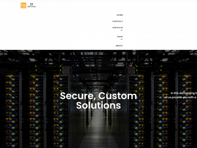fryitservices.com snapshot